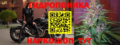 бошки Будённовск