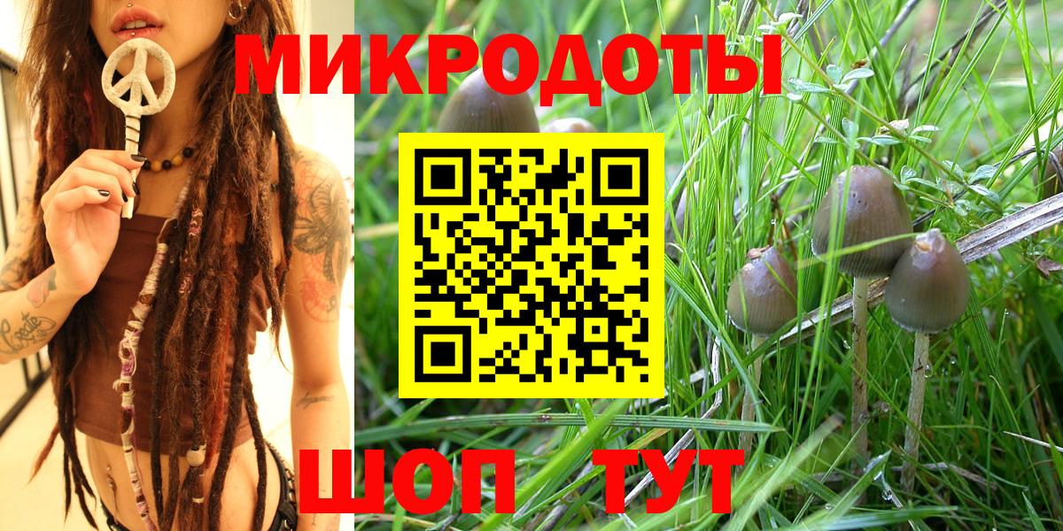 Псилоцибиновые грибы Magic Shrooms  Вход с VPN  купить наркотик  Мегион 